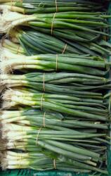 Farma Rohoznice Hagyma tavaszi csokor