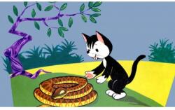 Diafilm Zrt Diafilm - Sicc Afrikában