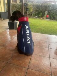 Ariat ACC Team Softshell kutyakabát M (AR10029168M)