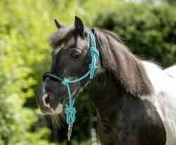 USG Díszített csomózott kötőfék, türkiz, cob/full (USG15050024-155-398)