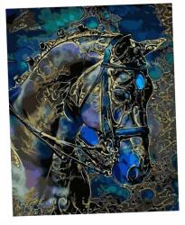 Twoje Hobby Festmény Számok Szerint Fekete Vászon Királyi