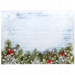  Karácsonyi Fotós Háttér 210x150 Cm Téli Tájkép Ágakkal Vinyl (CP-99)