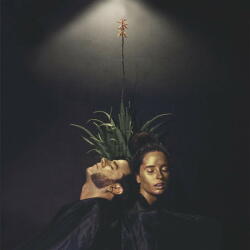 DAME AREA Ondas Tribales