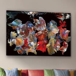 Schuller Valencia Tablou de perete decorativ Peces Siam, 150x100cm (SV-755016)