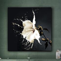 Schuller Valencia Tablou decorativ, imagine imprimata pe sticla calita Splash 100x100cm SV-719360 (SV-719360)
