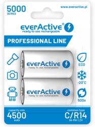 everActive Professional Line Akkumulátorok R14 2BL 5000 (EVHRL14-5000)