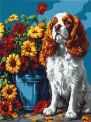Ideyka Festmény számok szerint Spániel és virágok 30x40cm (KHO6673)
