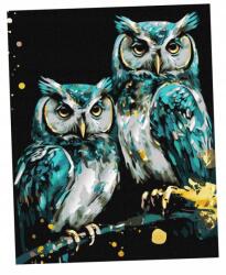 Ideyka Számozott Festés Bölcs Baglyok 40X50CM (KHO6514)