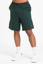 Champion Pantaloni scurti barbati, Champion, Verde, Bumbac (85653AJFI)