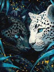 Ideyka Festmény számok szerint Kék szemű fém 30x40cm (KHO6730)