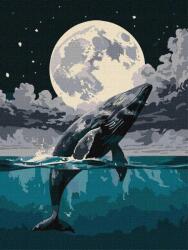 Ideyka Festmény számok szerint Ugrás az égbe 30x40cm (KHO6714)