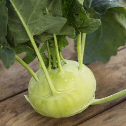 Farma z Rohoznice fehér karalábé Olaszország 1 db