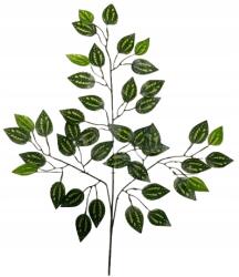  Műlevél Benjámin Fikusz Váll Ág zöld nád 63cm Gumírozott (#3)