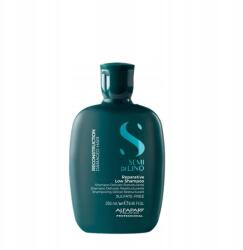 ALFAPARF Milano Sdl Reconstruction sampon rekonstrukció hajregenerálás 250ml (8022297175294)