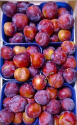  Farma z Rohoznice Red Blumas kiszerelés 500 g