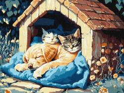 Ideyka Festés számok szerint Az idő csendje 30x40cm (KHO6695)