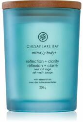 Chesapeake Bay Mind & Body Reflection & Clarity 250 g
