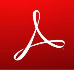 Adobe Acrobat Standard for teams, 1 user, 1 year, English | 65304886CA01A12 (65304886CA01A12)