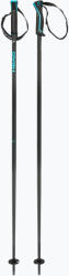 HEAD Bețe de schi HEAD Frontside carbon black/speed blue