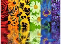 Ravensburger 12000213 - Virágok tükörképpel - 500 db-os puzzle (12000213)