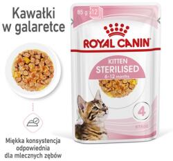 Royal Canin Kitten Sterilised Cica sterilizált zselében 48 x 85 g