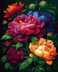 Twoje Hobby Festés számok szerint fekete vászon Színes (5906088374512)