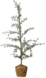 Bloomingville Изкуствена коледна елха височина 90 cm Vita - Bloomingville (82048482)
