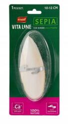 Vitapol Szépia mész ásványok madarak papagáj teknős nimfa csiga 10-12 cm (ZVP-4268)