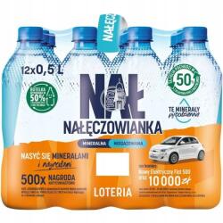 Nałęczowianka víz 0.5L (12) Nałęczowianka (7613038632438)