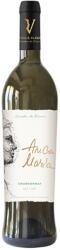 Vladoi D. Vladoi - Anca-Maria Chardonnay DOC 2024 - 0.75L, Alc: 14%