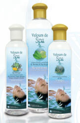 Waincris Esenta Camylle pentru SPA cu esenta de eucalipt si menta 250 ml (3760122950993)