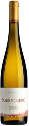 Castelfeder Vin Alb Riesling Rotschiefer Sorentberg Trocken Castelfeder 2020 0.75l (CASL14SGR)