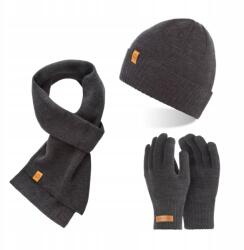 Brødrene Beanie sapka Sál Férfi érintőkesztyű Brodrene szett Tél 3az1ben (103137-DARKGRAY)