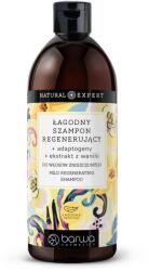 Barwa Cosmetics Sampon regenerant Natural Expert cu adaptogeni si extract de vanilie, Barwa Cosmetics, 480 ml (3012349870220)