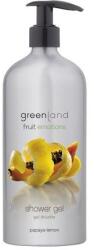 Greenland Gel dus, cu papaya si lamaie, Greenland, 600 ml (FE11)
