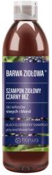 Barwa Cosmetics Sampon par blond si grizonat, cu soc negru, Barwa Cosmetics, 250 ml (308162090820)