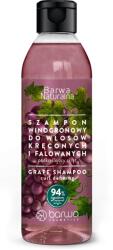 Barwa Cosmetics Sampon cu struguri, redefinire buclelor, Barwa Cosmetics, 300 ml (408263050220)