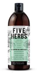 Barwa Cosmetics Sampon reechilibrant, par normal si gras, pe baza de 5 plante Five Herbs, Barwa Cosmetics, 480 ml (2908278100220)