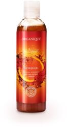 Organique Cosmetics Gel dus, cu Scortisoara si Portocale, Organique, 250 ml (36-ORG)