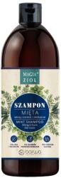 Barwa Cosmetics Sampon volumizator cu menta Magic Herbs, 480 ml, Barwa Cosmetics (2608212100220)