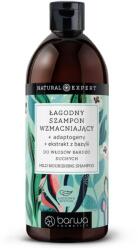 Barwa Cosmetics Sampon hranitor Natural Expert cu adaptogeni si extract de busuioc, Barwa Cosmetics, 480 ml (3012350870220)