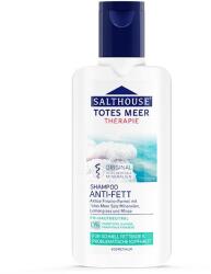 Salthouse Sampon impotriva ingrasarii parului, Salthouse, 250 ml (646SAL)