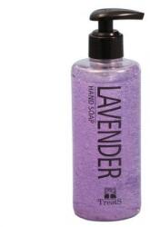Treets Sapun lichid cu dispenser, cu levantica, Treets, 250 ml (5169612)