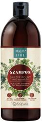 Barwa Cosmetics Sampon cu coada calului Magic Herbs 480 ml, Barwa Cosmetics (2608010100220)