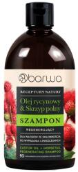 Barwa Cosmetics Sampon regenerant cu ulei de ricin si coada calului, Barwa Cosmetics, 380 ml (4308409180620)
