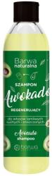 Barwa Cosmetics Sampon regenerant cu avocado, Barwa Cosmetics, 300 ml (408174050210)