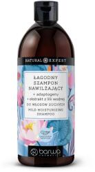 Barwa Cosmetics Sampon hidratant Natural Expert cu adaptogeni si flori de nufar, Barwa Cosmetics, 480 ml (3012351870220)