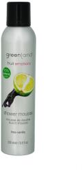 Greenland Spuma dus, cu lamaie verde si vanilie, Greenland, 200 ml (FE74)