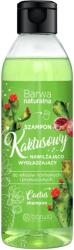 Barwa Cosmetics Sampon ultrahidratant cu cactus, Barwa Cosmetics, 300 ml (2308001050220)