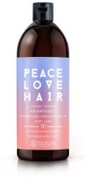 Barwa Cosmetics Sampon reechilibrant, scalp iritat si par gras Barwa Cosmetics, 480 ml (2810258100220)